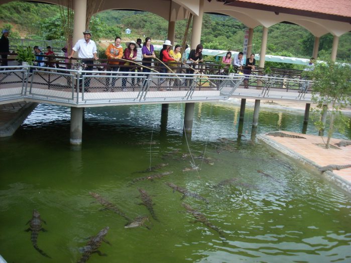 Cau-ca-sau-Cong-Vien-Du-lich-Yang-Bay