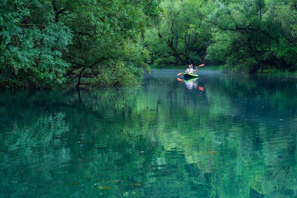 Chèo kayak trên mặt nước xanh giữa hàng cây rậm rạp