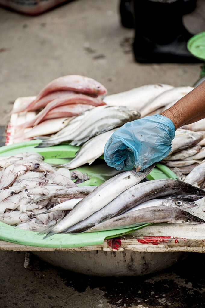 Mẹt cá tươi và mực tại chợ Xóm Mới Nha Trang
