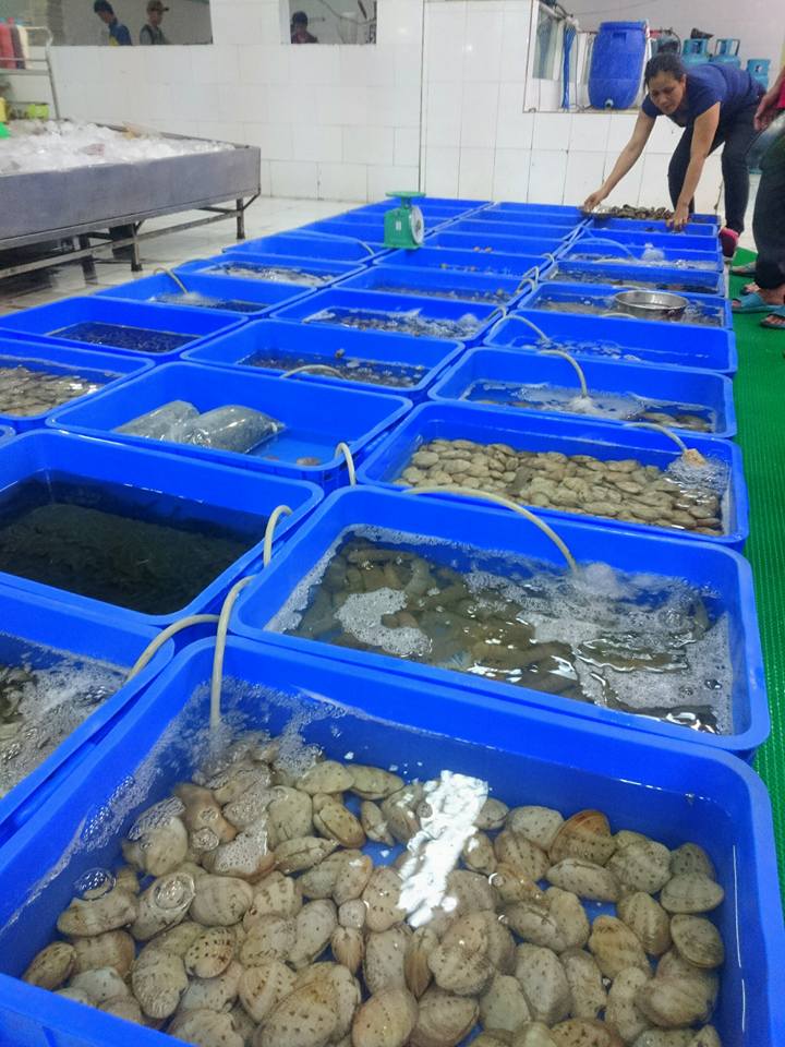 Bể nuôi sò, ốc và hải sản tươi sống tại chợ đầu mối