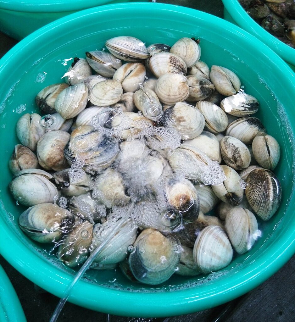 Thau nghêu tươi bày bán ở chợ Nha Trang