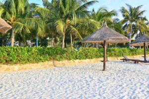 Bãi cát trắng và hàng dừa xanh trên đảo Hòn Tre Nha Trang