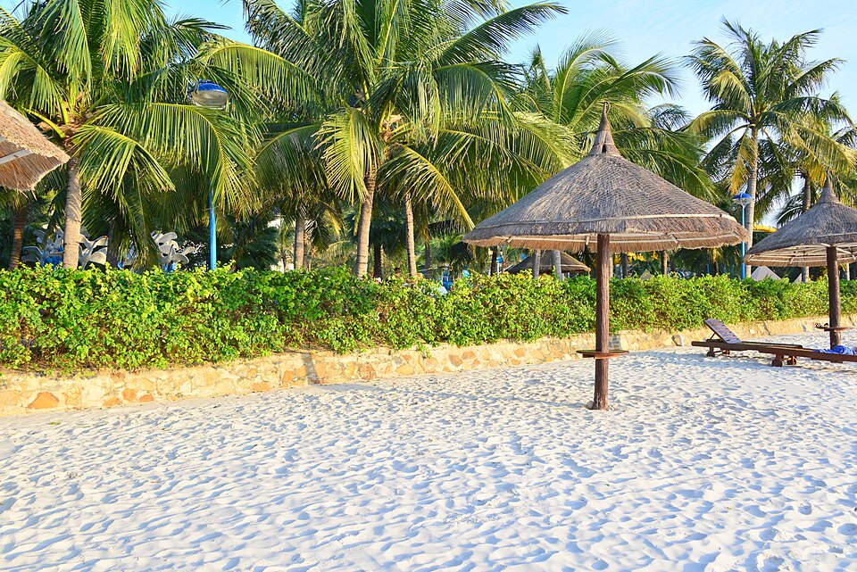 Bãi cát trắng và hàng dừa xanh trên đảo Hòn Tre Nha Trang