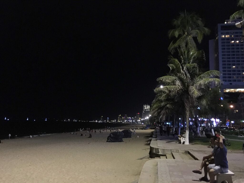 Bờ biển Trần Phú Nha Trang về đêm với hàng dừa và ánh đèn thành phố