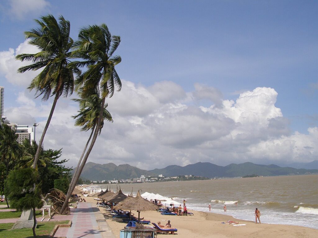 Hàng dừa nghiêng và dù lá trên bãi biển trung tâm Nha Trang