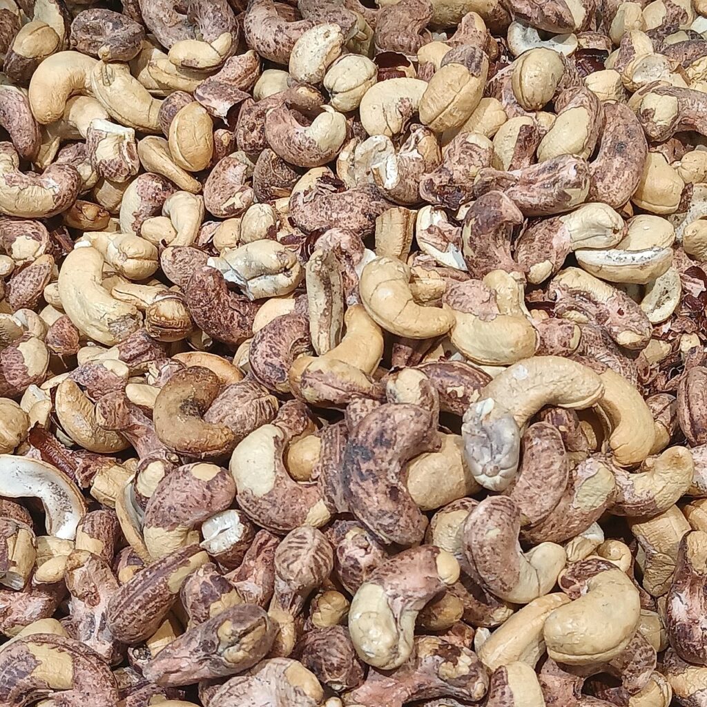Hạt điều rang muối còn vỏ lụa nâu đỏ