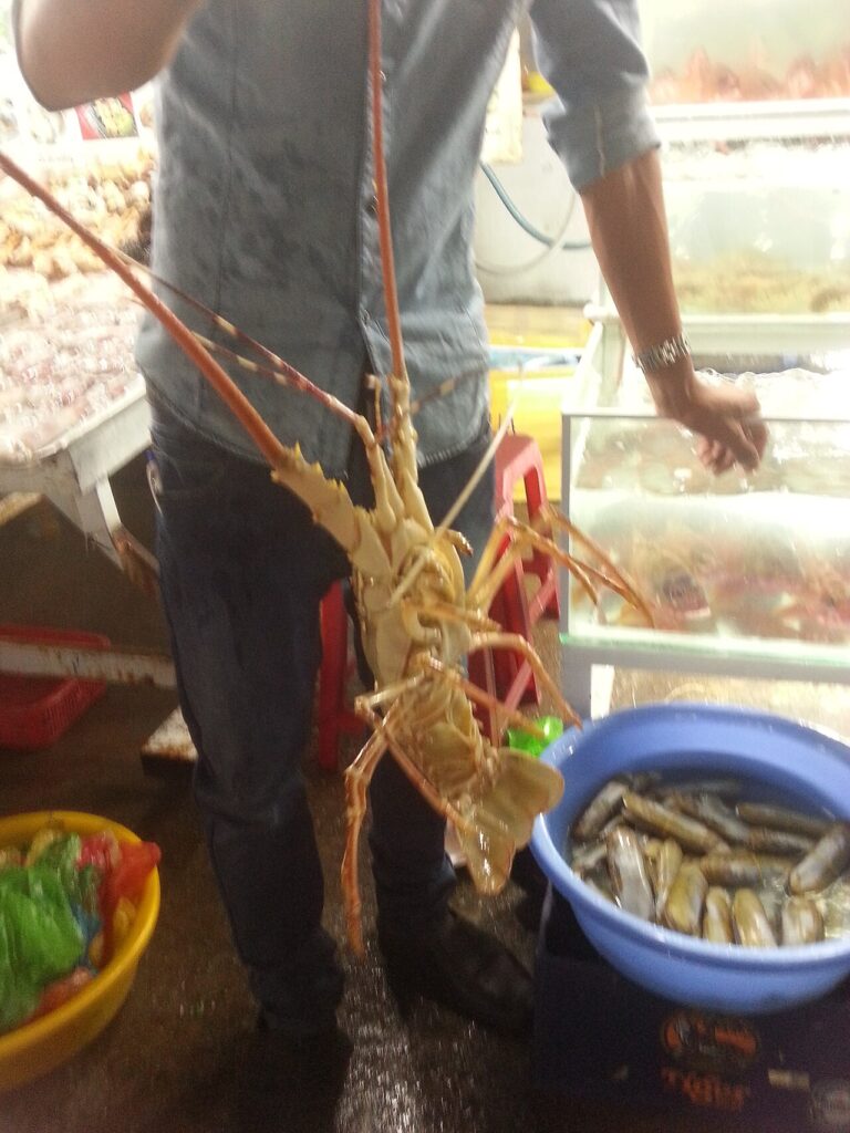 Người bán cầm con tôm hùm lớn tại một chợ hải sản ở Việt Nam