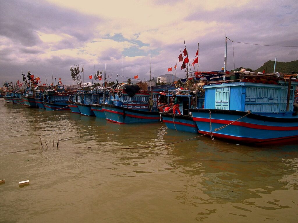 Đoàn tàu cá neo đậu ở Nha Trang, nơi khởi hành các chuyến câu mực đêm