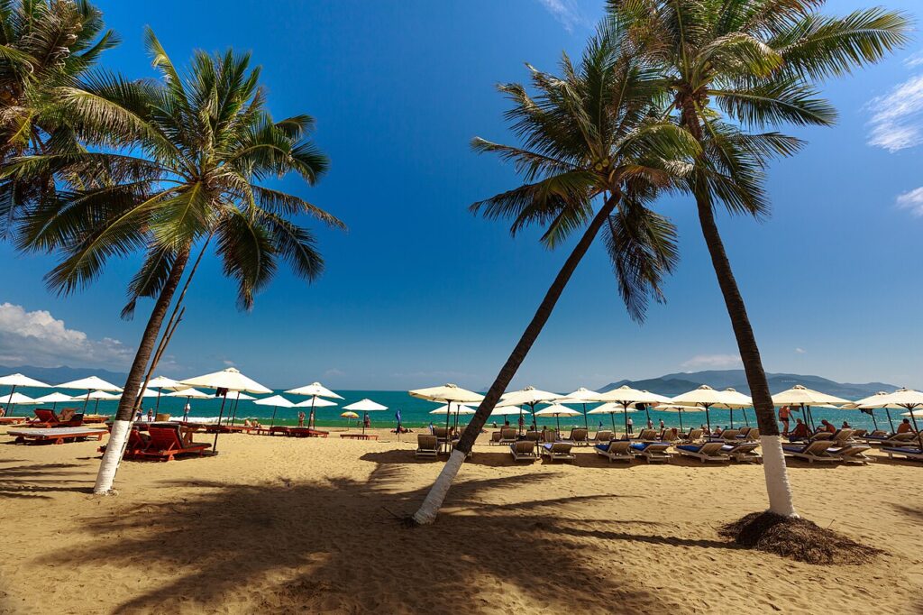Bãi biển Nha Trang nắng gắt với hàng dừa và dù che